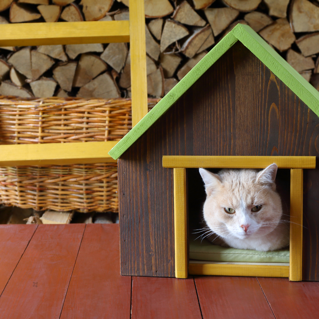 PET HOUSES