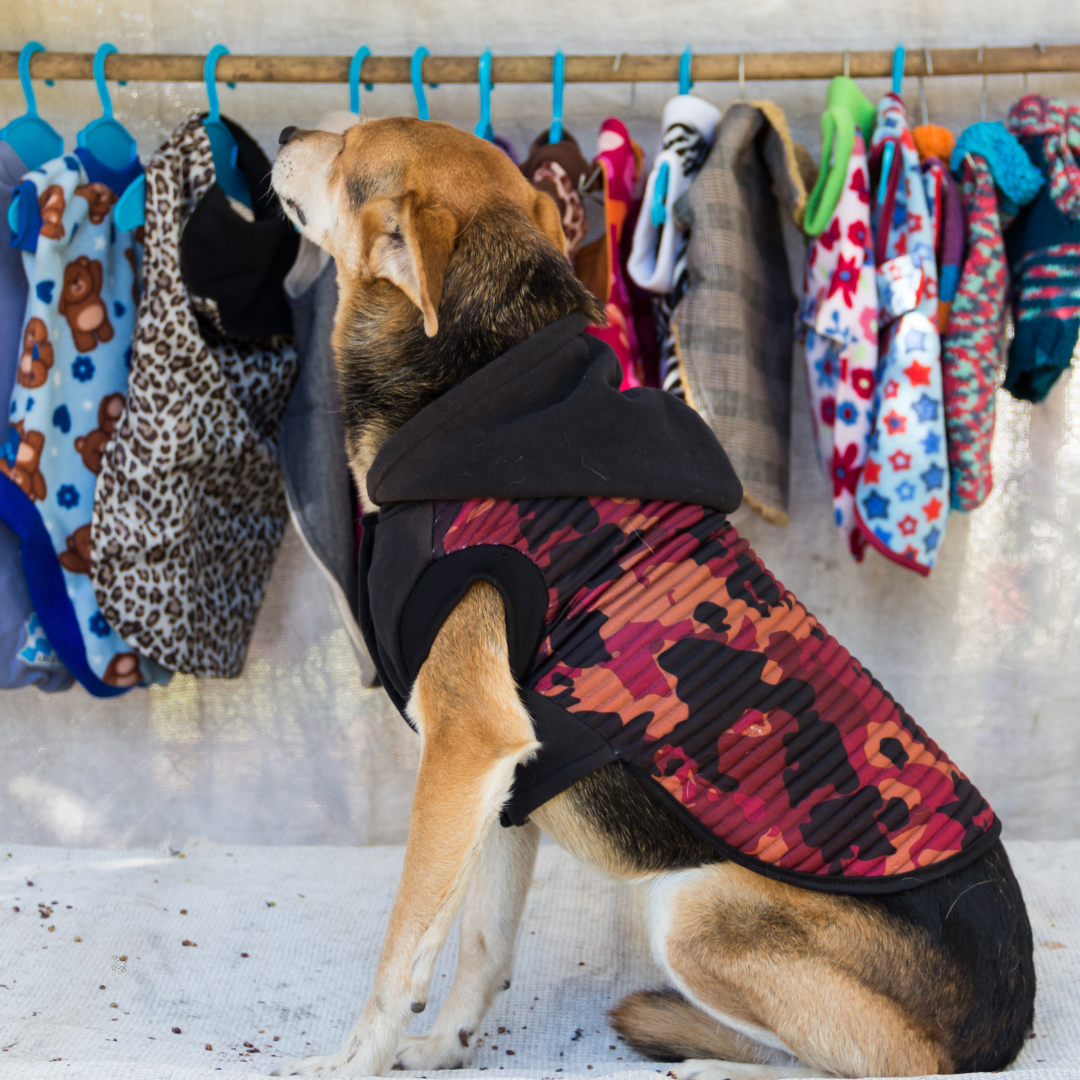 PET CLOTHING