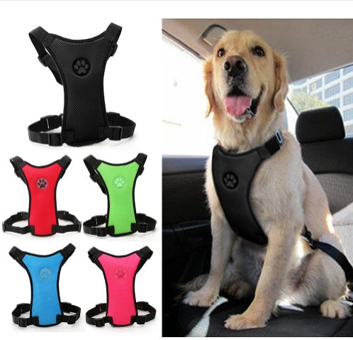 Breathable Mesh Dog Safety Harness & Car Strap