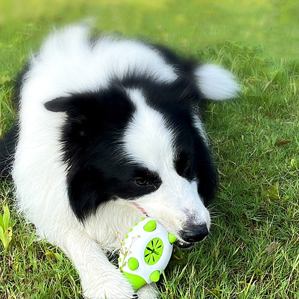 Hedgehog Dog Toy - Food Dispenser & Tooth Cleaner