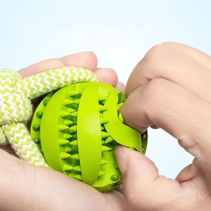 Interactive Dog Treat Ball & Chew Toy