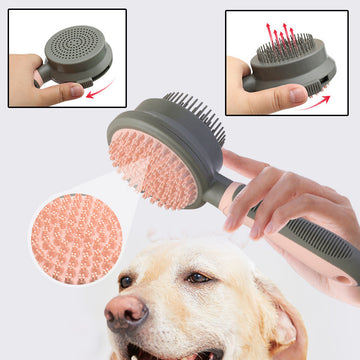 Self-Cleaning Double-Sided Pet Hair Removal Brush